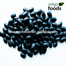 kidney Beans Market Price , Black Bean Sauce